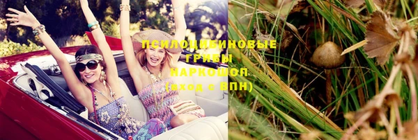 apvp Новозыбков