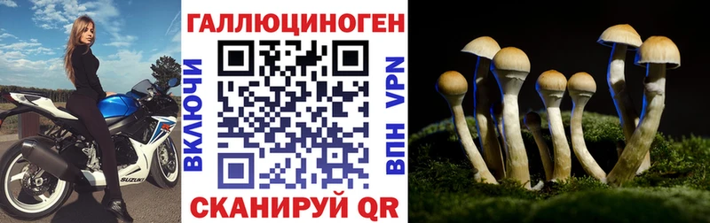 Псилоцибиновые грибы Cubensis  Купить закладки  Новотитаровская 